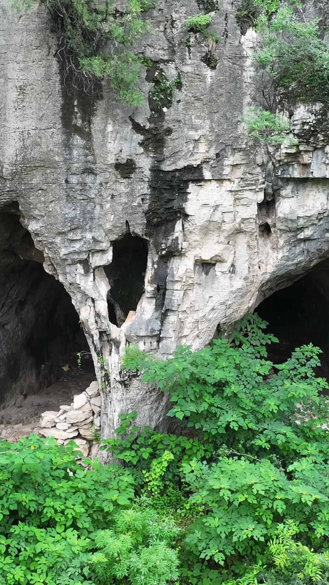 金年会平台-关于	洞Du?鼻&amp;?{胧梿匟>z的信息